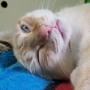 Meet your Posher, Jose